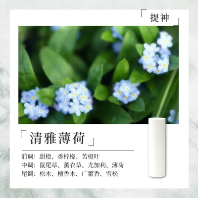 Car Perfume Aromatherapy Using the Harmonyos System - elegant-mint-10538mm