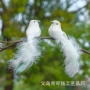仿真拍摄庭院家居仿真鸟