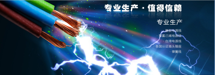 专业生产值得信赖