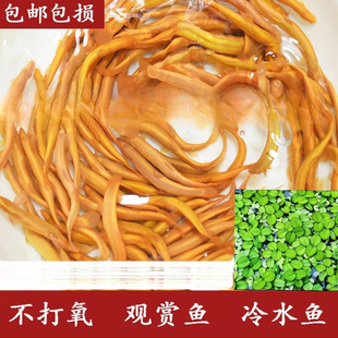 �S���q�������B�^�p�~�S�����q��ˮ�~С���~�ͻ��^�p�~���]