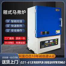 Sa1200ȸߜtRtʽҟYt͸ߜ늟