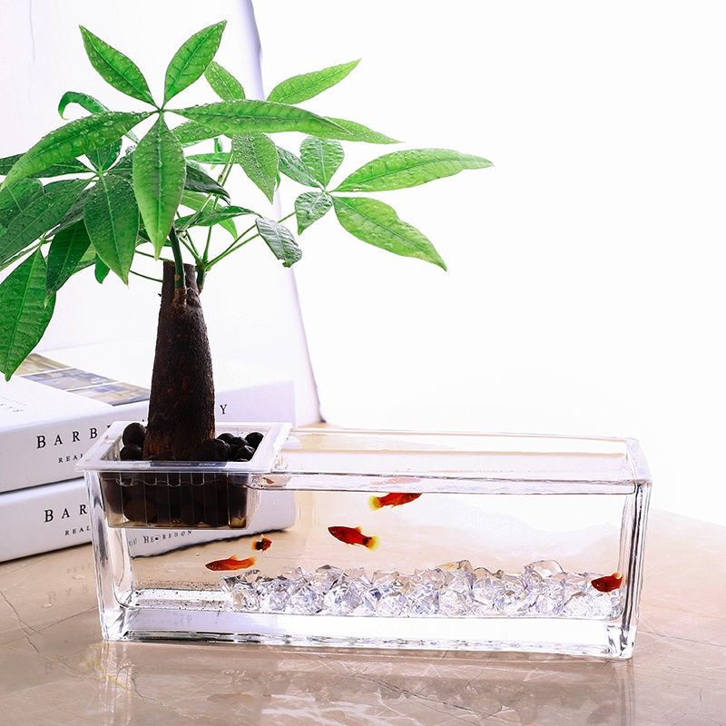アクリル正方形落下防止透明ストレート花瓶多肉植物サボテン植木鉢リビングルーム水耕栽培グリーン植物ディッシュベタ水槽|undefined