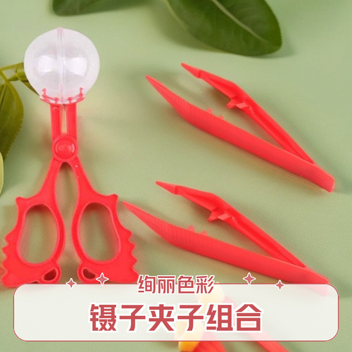 Children's Outdoor Insect Trap Set, Tongs, Butterfly Trap, Outdoor Insect Catching and Collecting, Scientific