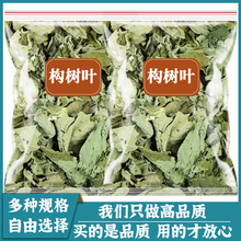 构树叶500g中药材正品非野生楮桃叶泡澡干货草药构叶谷树叶褚桃叶