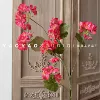 Geranium