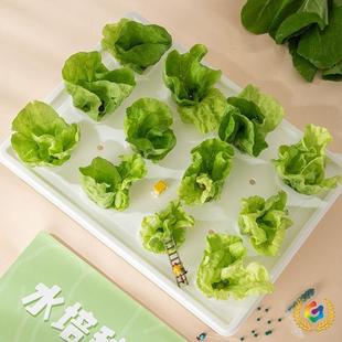 ?�o���������ܻ����ͥˮ���߲��O�����˷Nֲ���̨���ˮ���N��