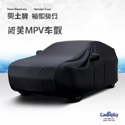 Series 30 20 Alphard Car | Car clothing