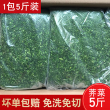 jW5/ҰكrҰjW QWʳ֮