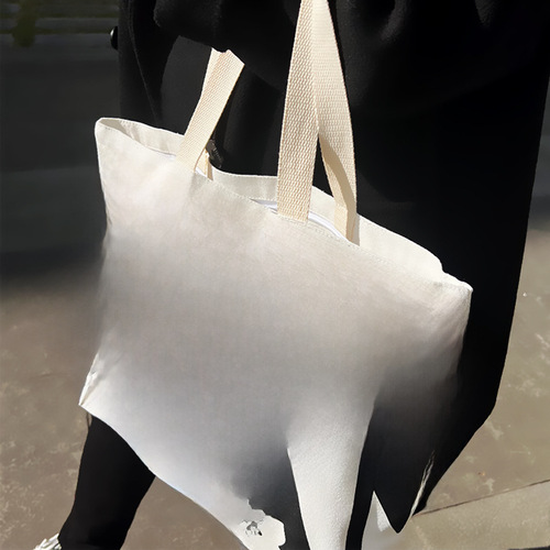 Large-capacity canvas bag, ins-style shoulder bag, 2024 new European and American fashion all-match tote hand shopping bag for women