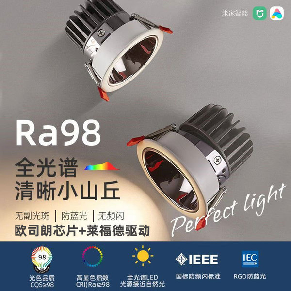 Ceiling light for living room