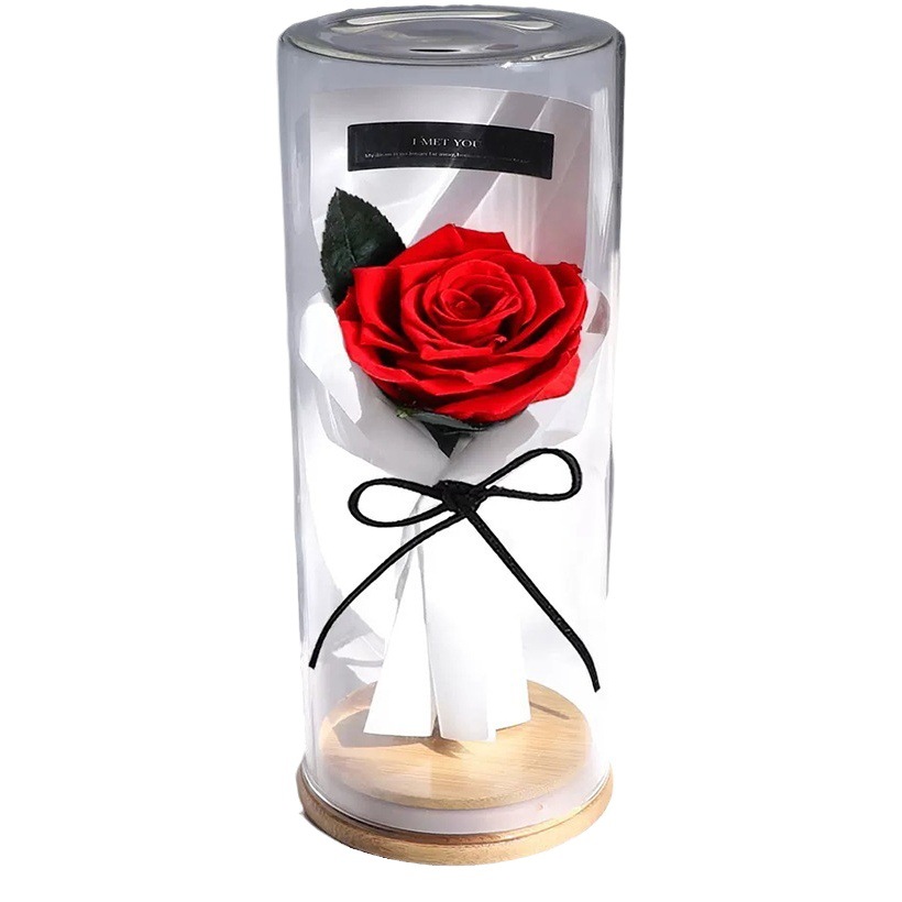 Rosa Preservada en Cúpula de Cristal, Producto Terminado, Regalo de San Valentín para Novia, Ramo de Flores Preservadas