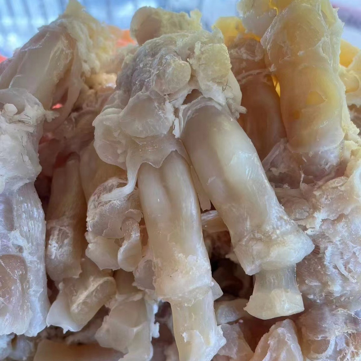 牛筋牛蹄筋商用半成品去皮去骨八成熟火锅食材新鲜正宗纯牛筋批发