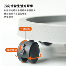 ���l�Ӻ�A���f��݆�Ƅ��бP��ֲ���D�Q���ˮ��ֲ���������л���