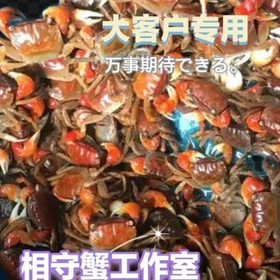 з�tз����з����з�~��з���w�з���з�ؔ�з�������b���lˮ��