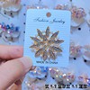 Advanced brooch, protective underware, universal pin, high-end accessory lapel pin, wholesale, high-quality style, clips included