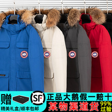 ZqŮӽqӺ08hLɿ˷ů³