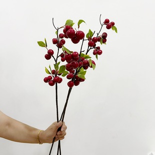 ����ˮ��С֦���ҹ���֦܇���ӹ����ٻ��[���͏d�͏d����廨�b�