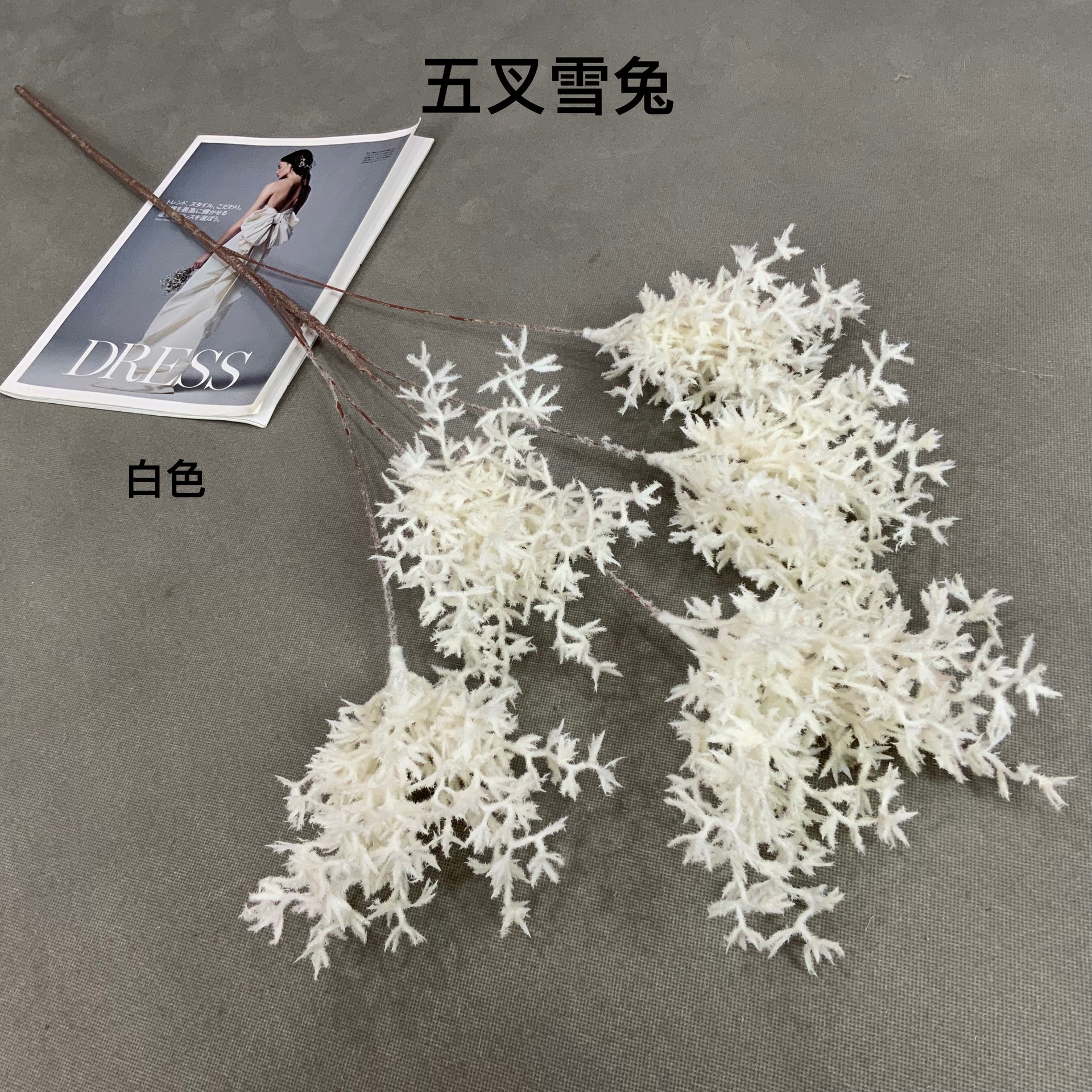 3587741f8d5bc3f4feb5bfcf57f32b