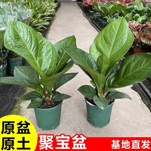 ���~�Gֲ�B�����T���Կ͏d��ؔ�ی���ˮ��ֲ���҃Ⱥ��B���ܰlؔ��