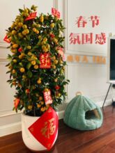 ��ێ����������ԾGֲ�^���ͶY���Ә��辰�ļ��B�o�ļ��_���Y��