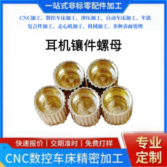 耳掛けブルートゥースヘッドフォンインサート銅ナット射出銅インサートnc旋盤CNCコアマシンのフライス加工