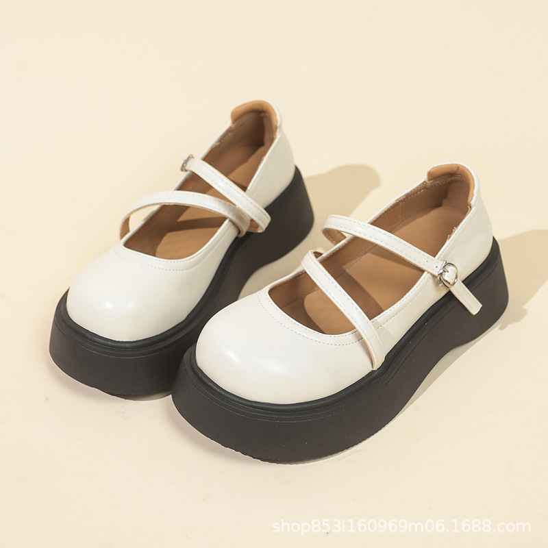 2025022409159266679466w800h800