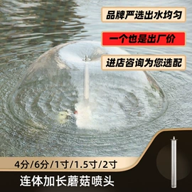 喷泉水景;喷嘴、喷头;景观工程项目