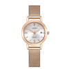 Calendar, fashionable brand quartz watch, light luxury style