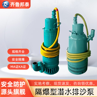 �V�ø����͝�ˮ��ɳ늱� ú�V�����������{�� BQS30-300/6-55/B