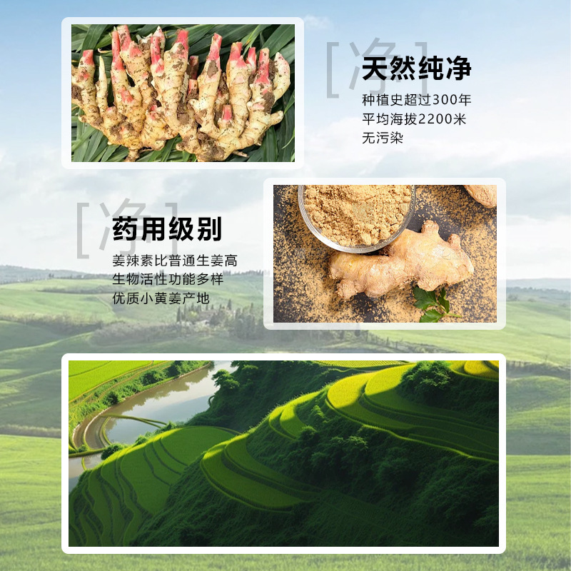 白雲山花城生姜膏正品泥治療膏泥灸理学療法養生草本御熙堂全身通用膏|undefined