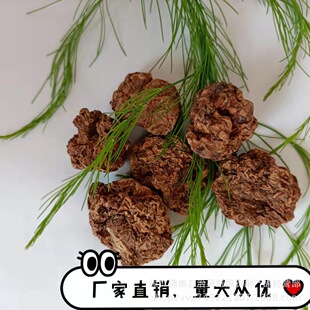 ���u�x�`�� ��ҧ���  �L�����n ���¿ښ�