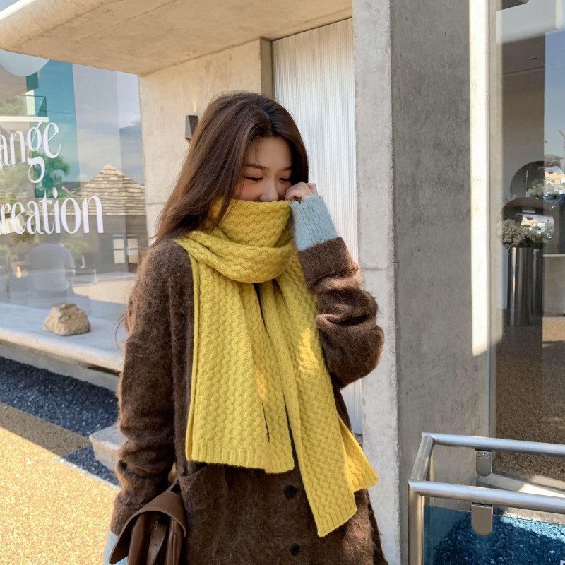 Solid Color Thick Wool Knit Scarf NSCM101560