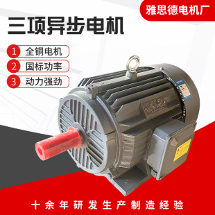 ���ஐ��늄әCYE3-180L-6�O15KW����늄әC 380V����늙C�~о