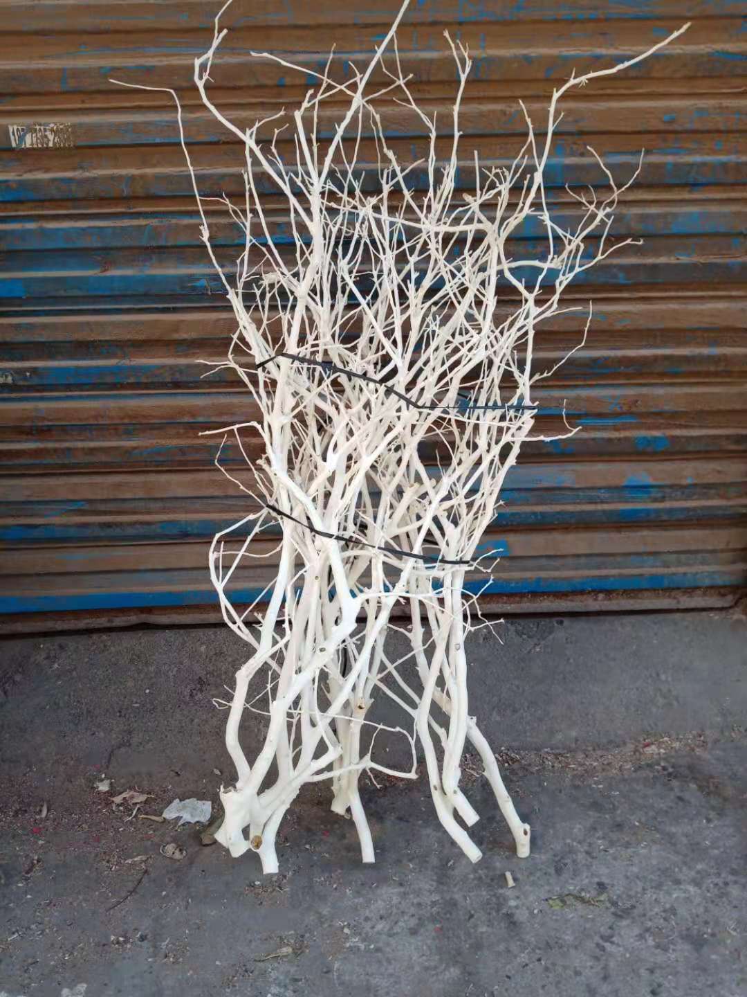 详情图