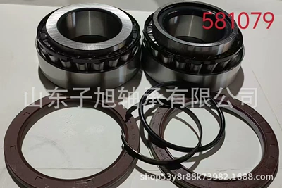 581079 Car Wheel Hub Bearings Manufacturer Supplies Complete Models, Shaft Connected to Foreign Trade Orders, Non-Standard Bearings (Təkər mərkəzi yataqları) - 581079