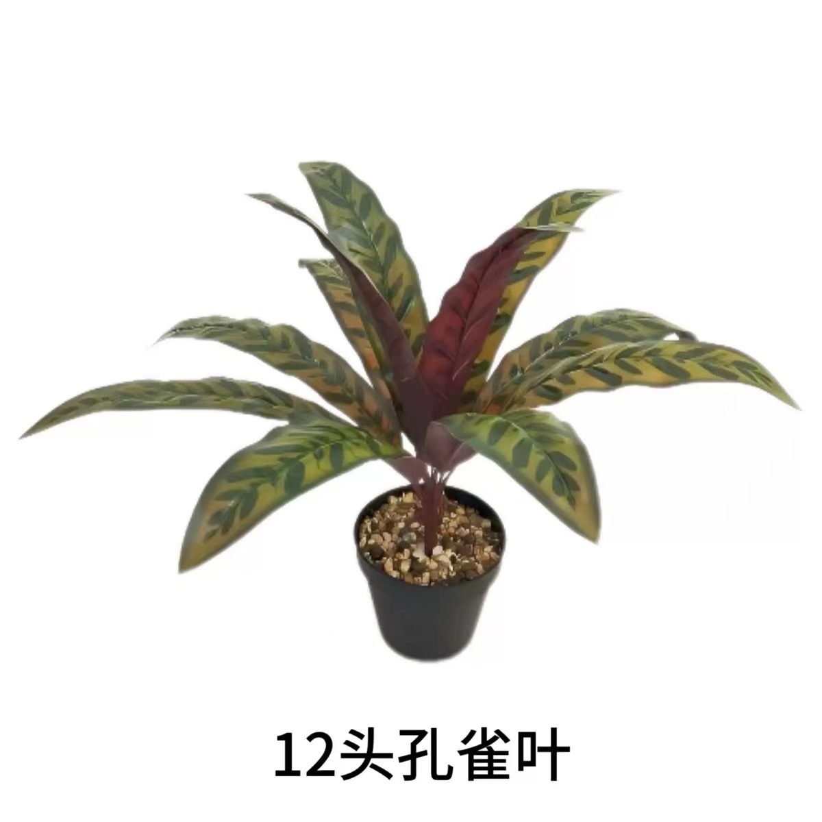 공작잎 12개(냄비는 포함되지 않음)