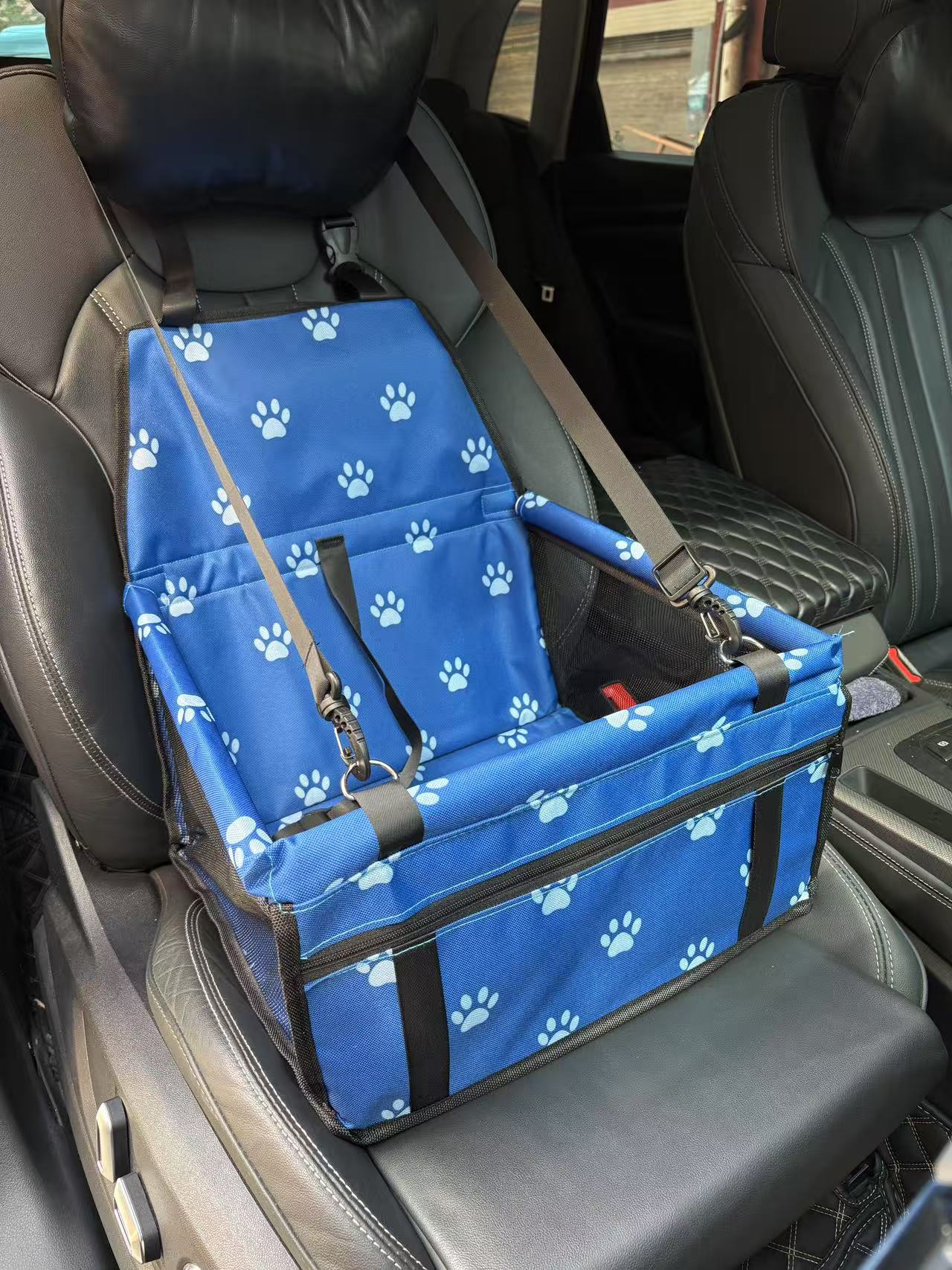 로얄 블루 발자국