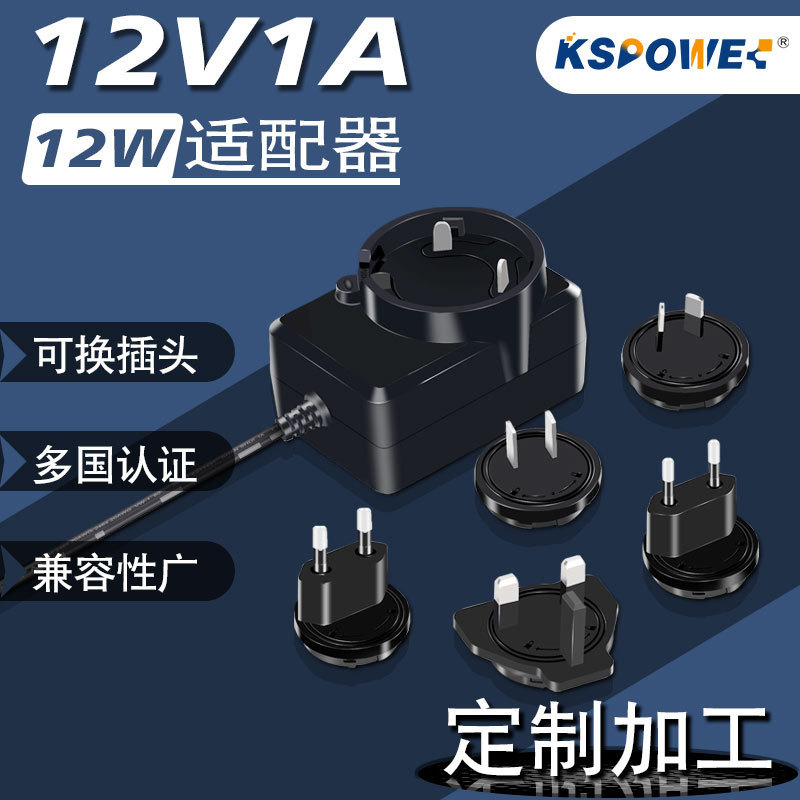 Customized Replaceable Head Power Adapter 12V1A Multi-Pin Detachable Black 12W Constant Voltage Power Adapter
