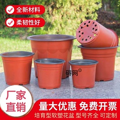 多肉植物植木鉢 プラスチック 2色ポット 苗カップ 大 特価 クリアランス バルコニー バラ 耐腐食性 シンプル スタイル セメント