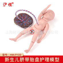 ģ HM/F132Ě̥Poģ͋냺ĚYǒW