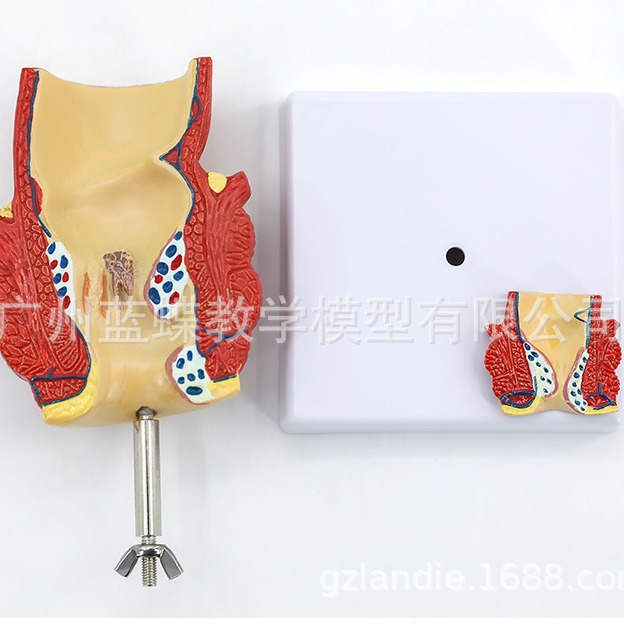 ֱ���̴�����ģ�� �̴�������� ���Ÿس��� ��ֱ������ģ��