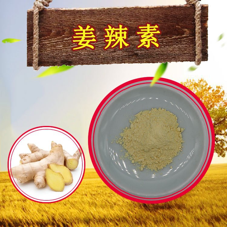 Gingerol 5% light-proof dry ginger extract Tengmai spot free…