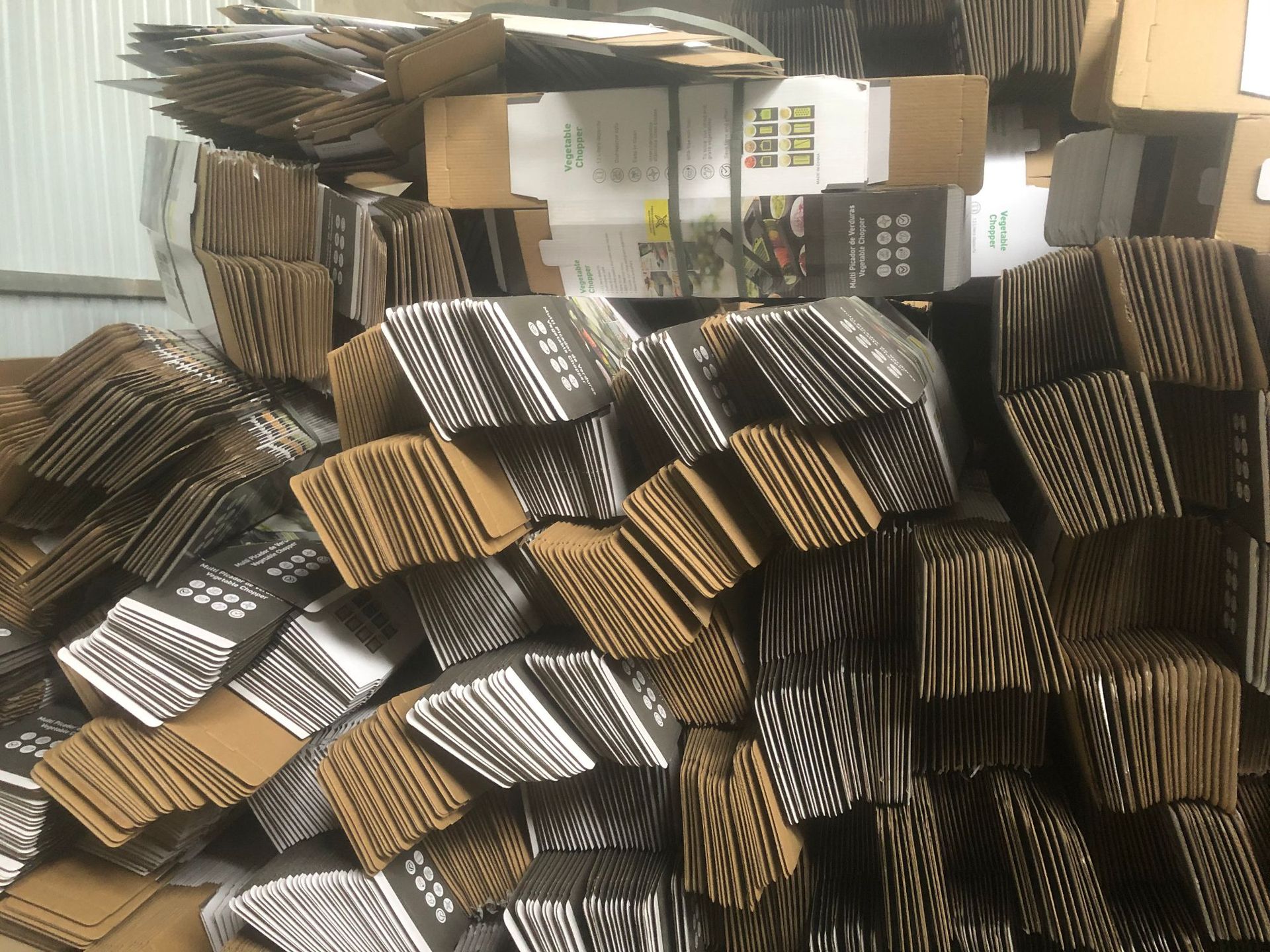 新建文件夹 (2)IMG_3762