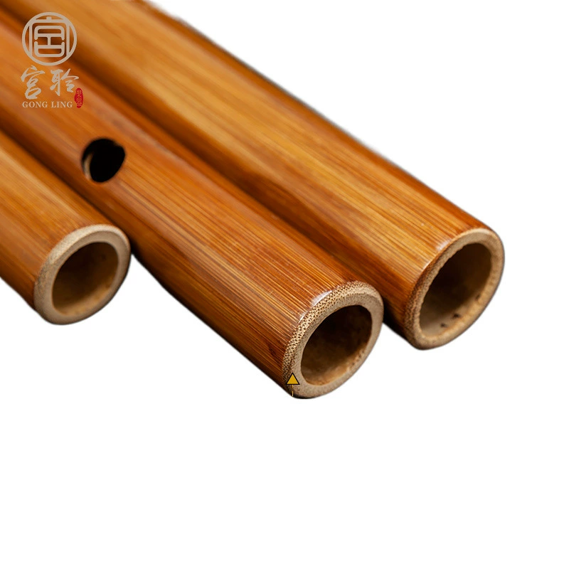 Small musical instruments for elementary school students for beginners for adults