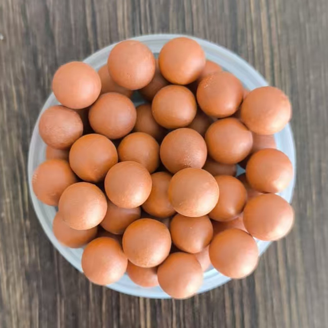 微信图片_20251119093832_262_92_副本