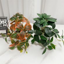 ���R�d����ֲ��ڒ�3D��ӡ����Gֲ��ü�~�����~�҃ȼҾ��b�����