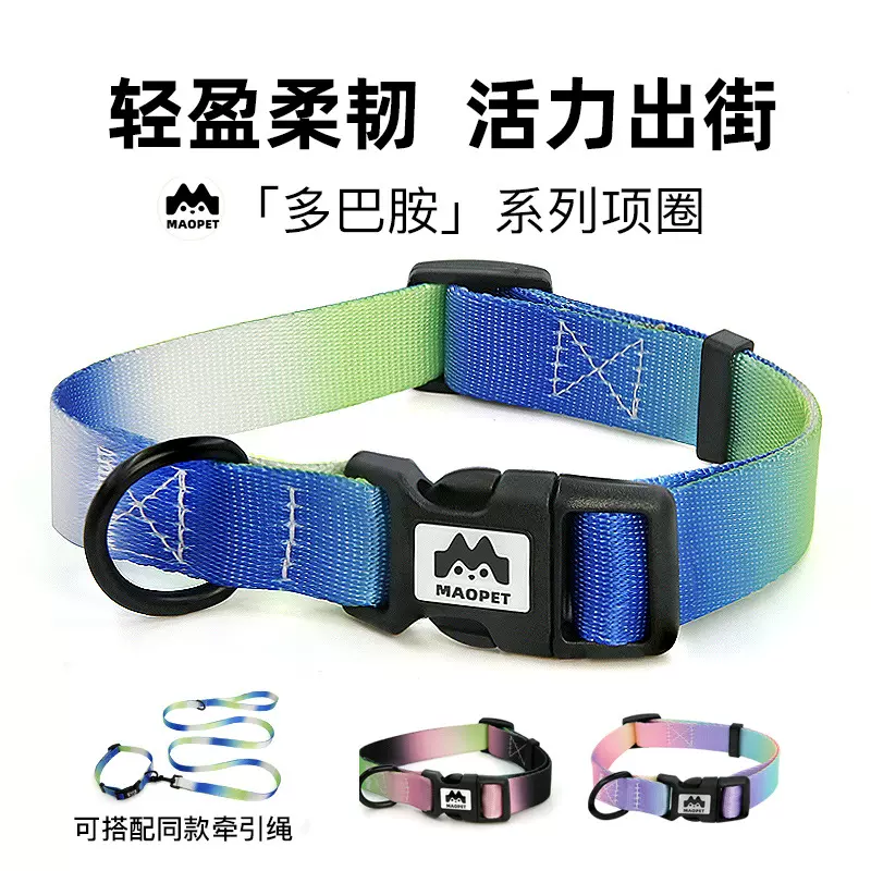 跨境狗狗项圈牵引绳套装防走丢宠物脖套猫咪项链简约围脖装饰批发