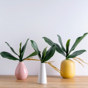 �����m�~���m���~INS���滨�S�ҼҾ��b�c��������ֲ��ٻ�