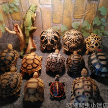 陆龟模型Q版模型亚达/苏卡达/星龟/辐射/豹龟仿真陆龟模型摆件