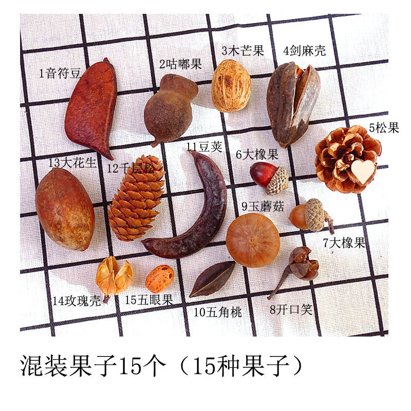 Dried Flower Decoration Cotton Acorn Pine Cone Branches Leaves Lotus Pod Creative Kindergarten Handmade Environmental Creation Materials